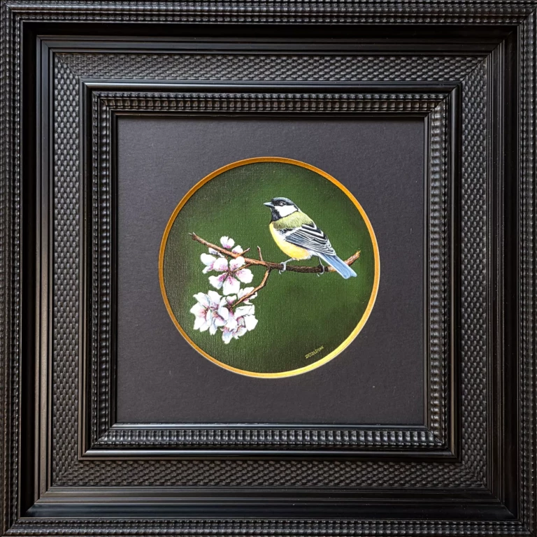 THIERRY DECOLOGNE - MESANGE CHARBONNIERE PRINTANIERE - 30x30 49x49cm