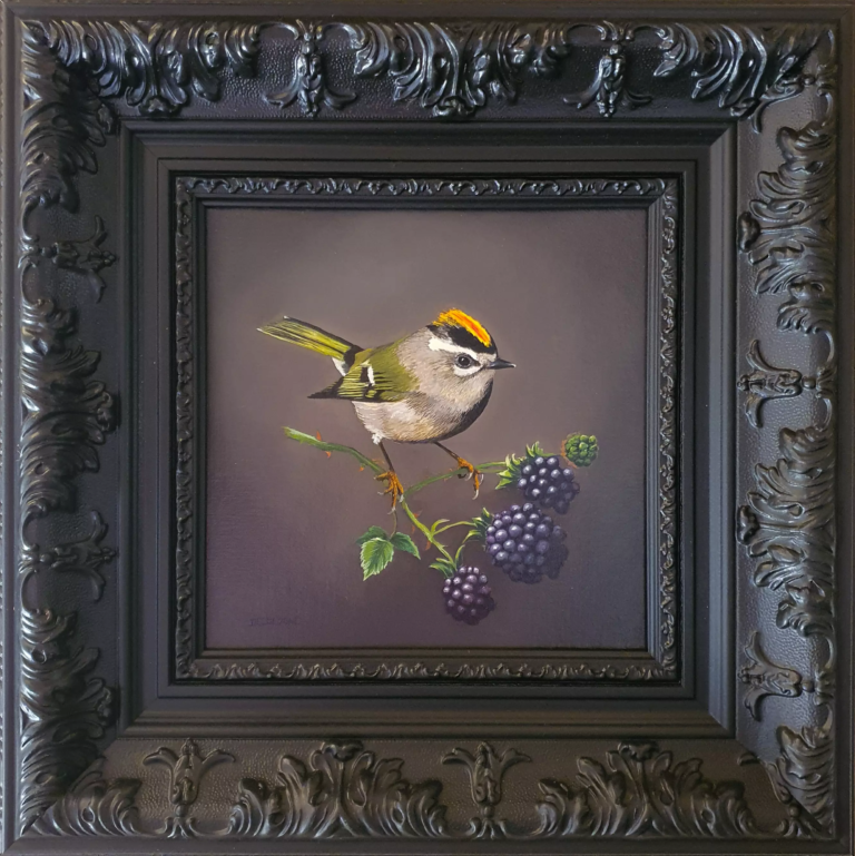 Thierry Decologne - Roitelet à Triple Bandeaux - 36x36 encadré